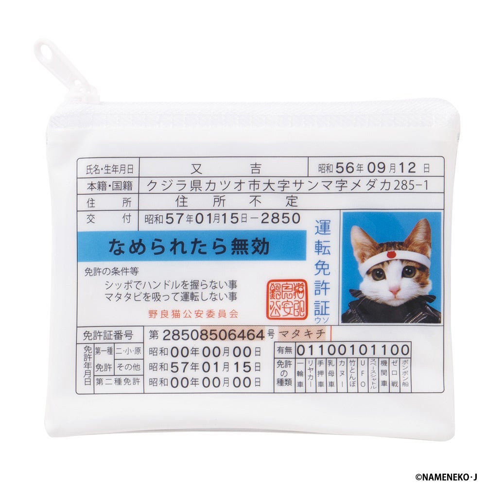 なめんなよ ／ で80年代社会現象を巻き起こした『なめ猫』が