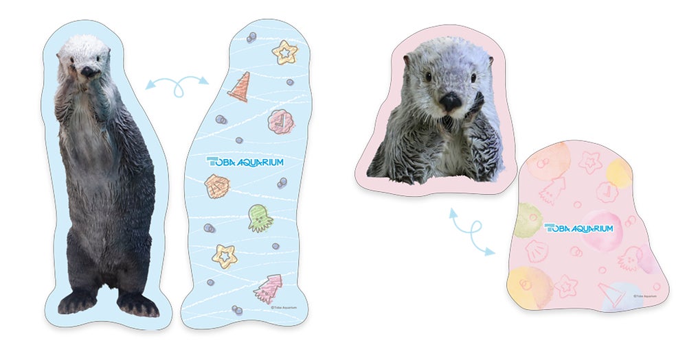 鳥羽水族館』のアイドル！ 「ラッコのメイちゃん」のお誕生日を記念