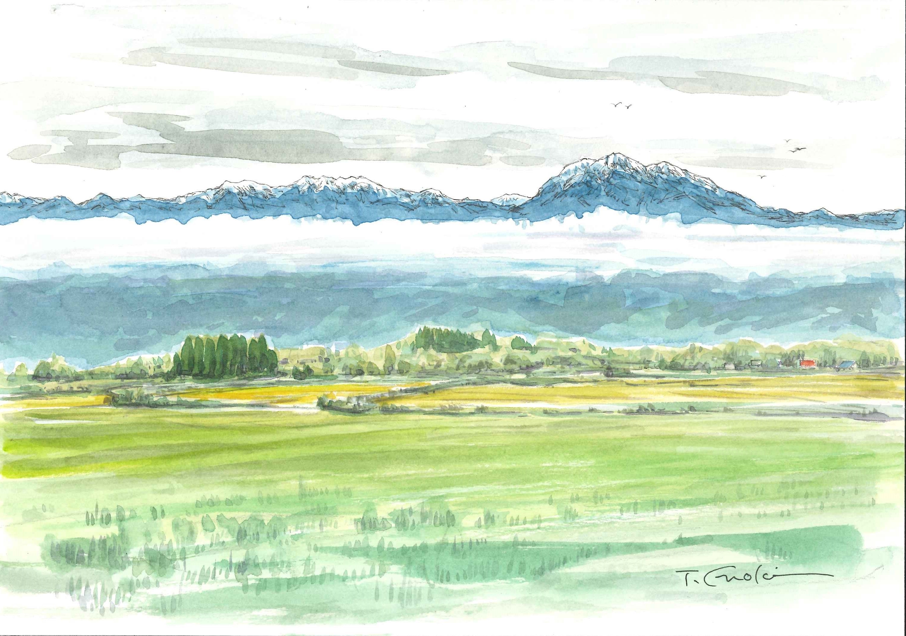 榎木孝明 水彩画 草もえ時 北海道 美瑛 新品 榎木孝明 水彩画 草もえ時