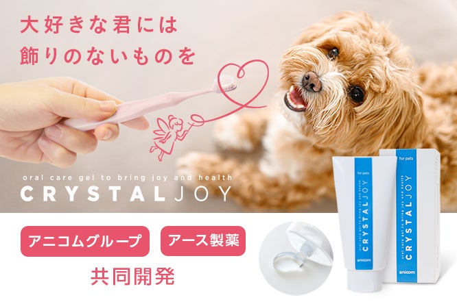 CRYSTAL JOY クリスタルジョイアニコム12本1箱