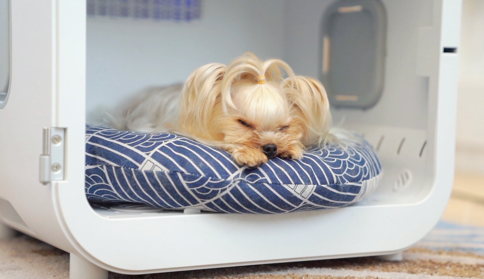 ドライヤー嫌いなペットにも！1台3役 ペット用のサロンハウスという