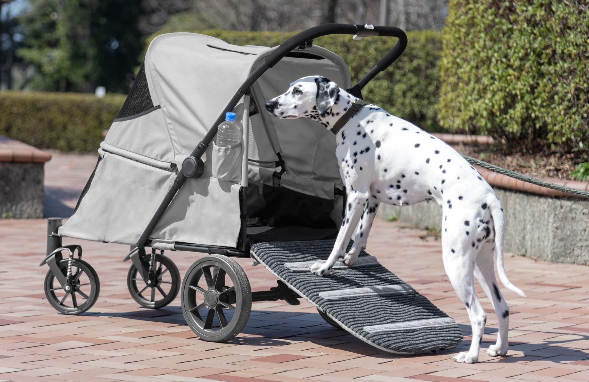 新発売】ありそうでなかった“スロープ付きペットカート”何歳になっても