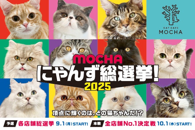 推し猫No.1を決める全国規模の熱戦！国内外 全39店舗総勢830匹が参加