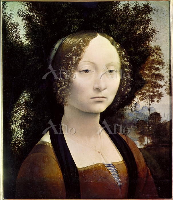 レオナルド・ダ・ヴィンチ 「ジネヴラ・デ・ベンチの肖像」 [11233889