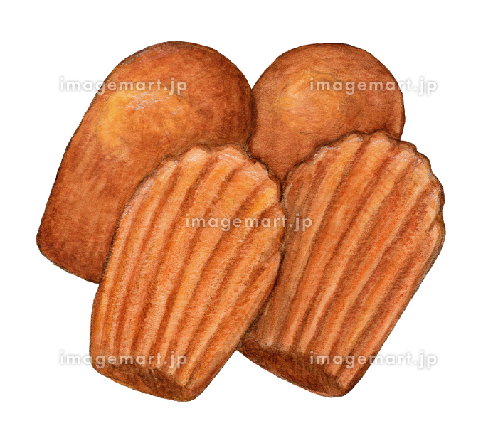 マドレーヌ 水彩色鉛筆スイーツイラスト [184729090]｜毎月1点無料