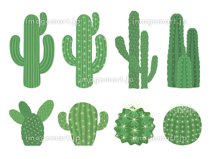 サボテンのイラストセット [137878817]｜毎月1点無料（フリー）の