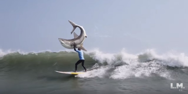 みそきんブームの波に乗るサメ みそきんブームの波に乗るサメ