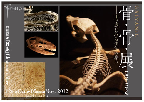 ☆即納☆ スズメの骨格標本（こちらの商品は自立しません） - 頭骨