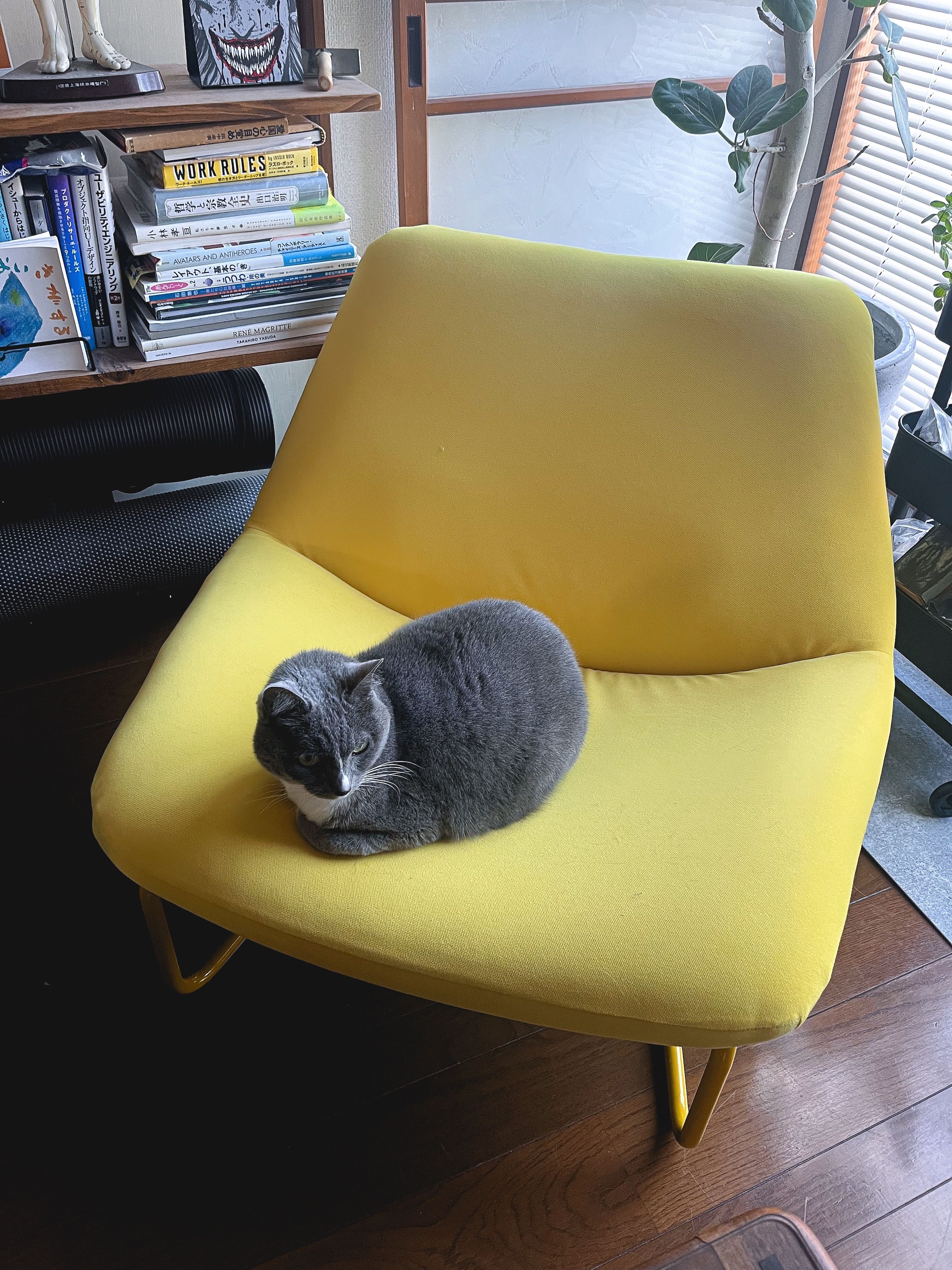 IKEA SOTENÄS ソテネスパーソナルチェア, ハーケボ イエロー 【公式通販】