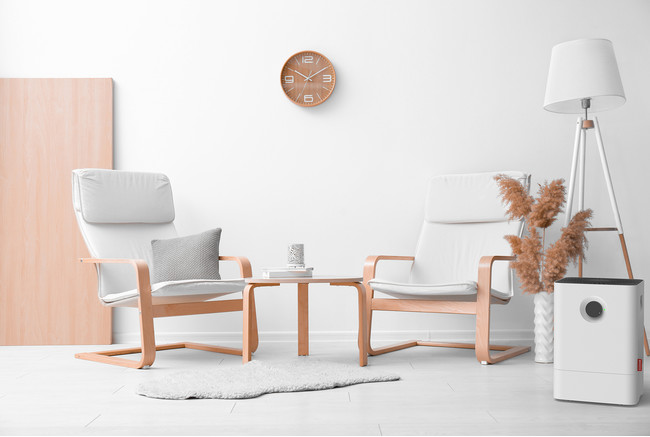 空気清浄機・加湿器の世界的トップブランド BONECO の「BONECO healthy