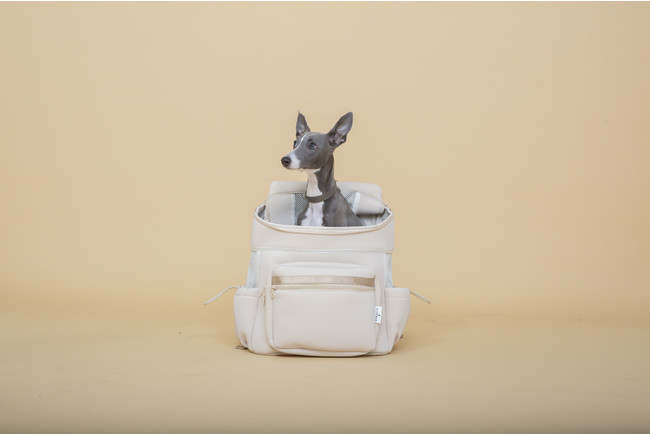 シティドッグ キャリーバッグRサイズ オフホワイト キャリーリュック