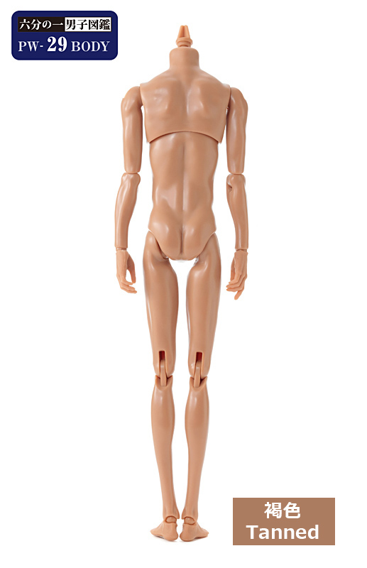 六分の一男子図鑑 PW-29BODY 褐色 - PetWORKs Store