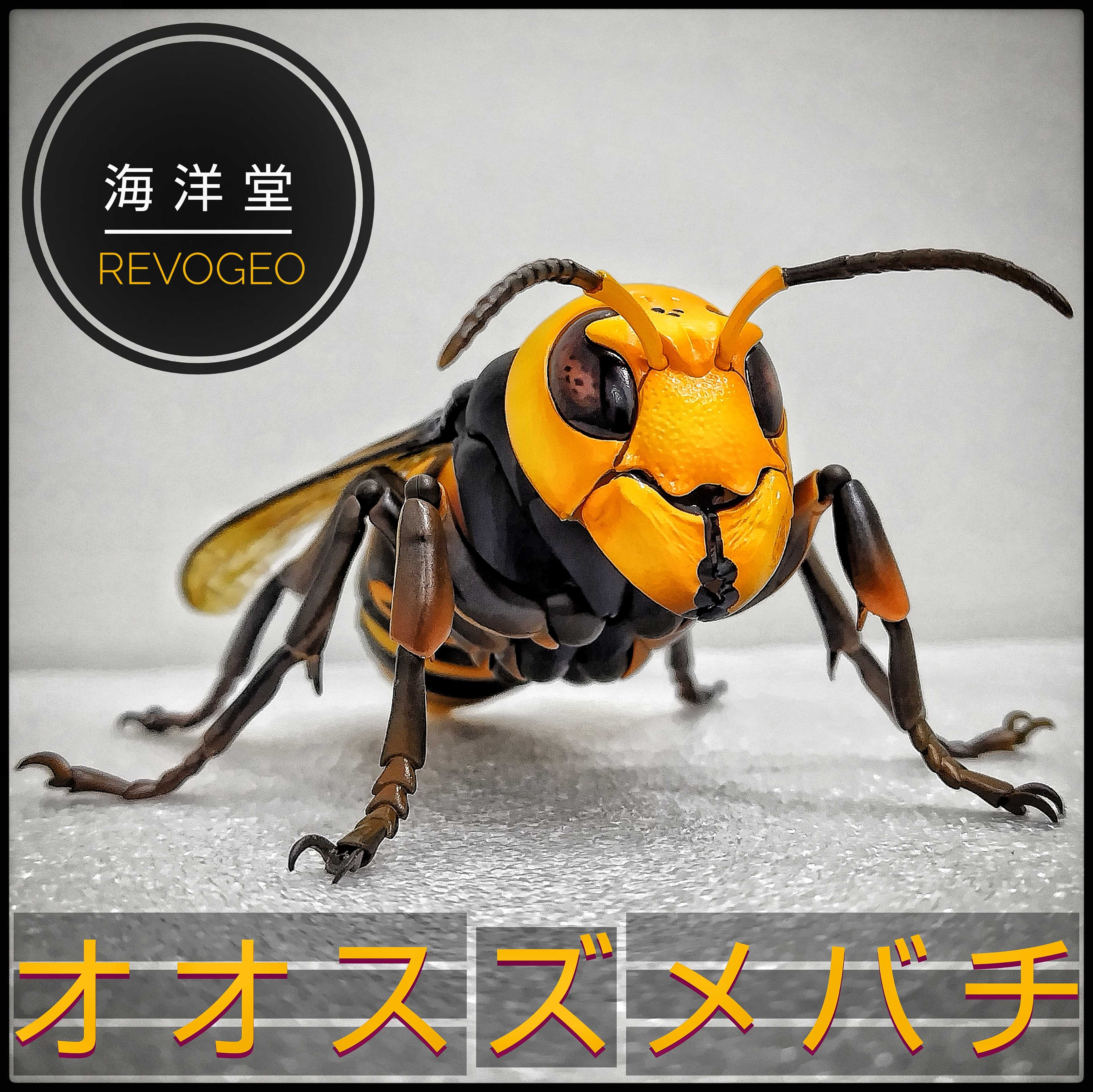 まとめ売りのみ‼️】だんごむし すずめばち かまきり 多数 まとめ売り