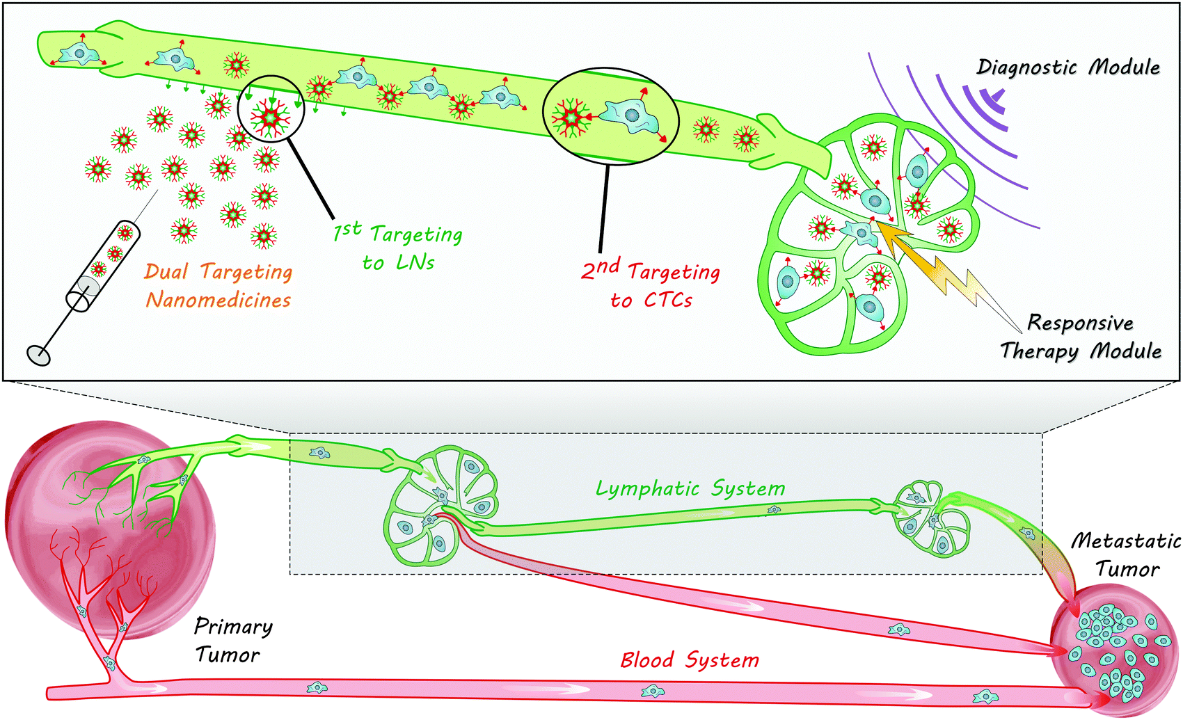 Development of individualized anti-metastasis strategies by