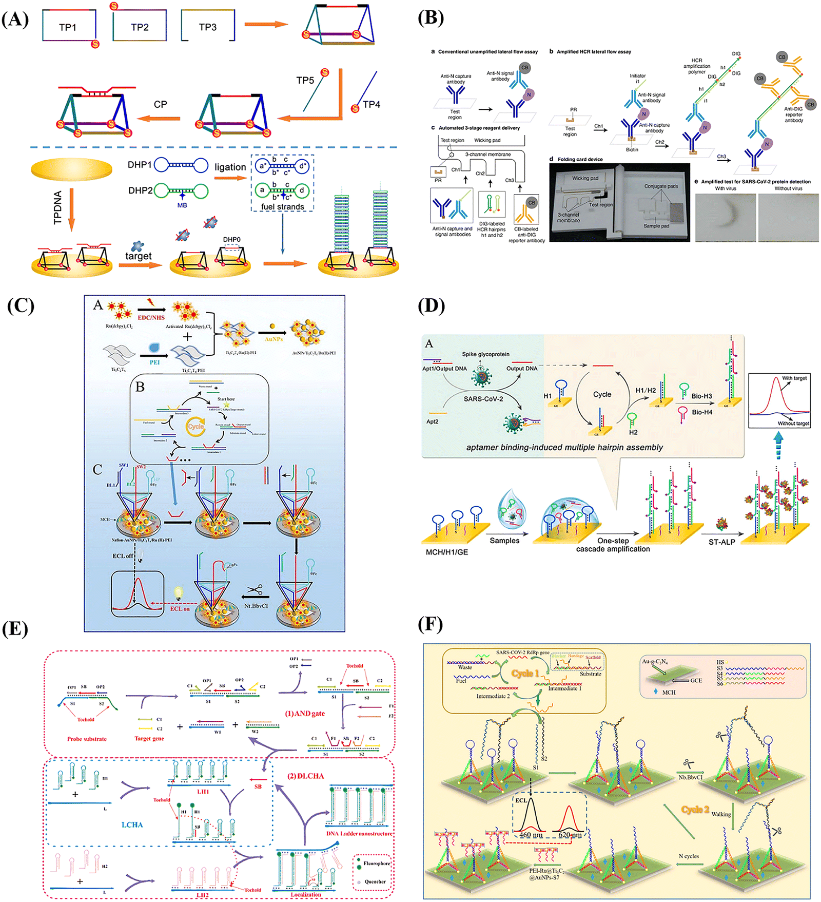 Home-used coronavirus sensors powered by isothermal amplification