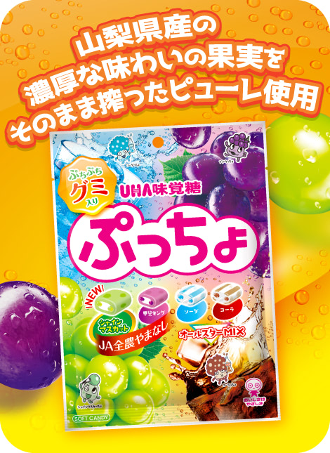 公式】ぷっちょ袋 4種アソート - UHA味覚糖 ぷっちょ