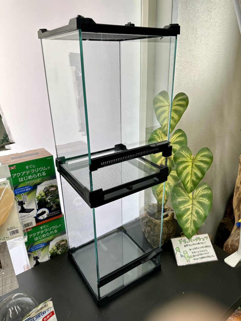 レインフォレストタンク2030 グラステラリウム 爬虫類 両性類