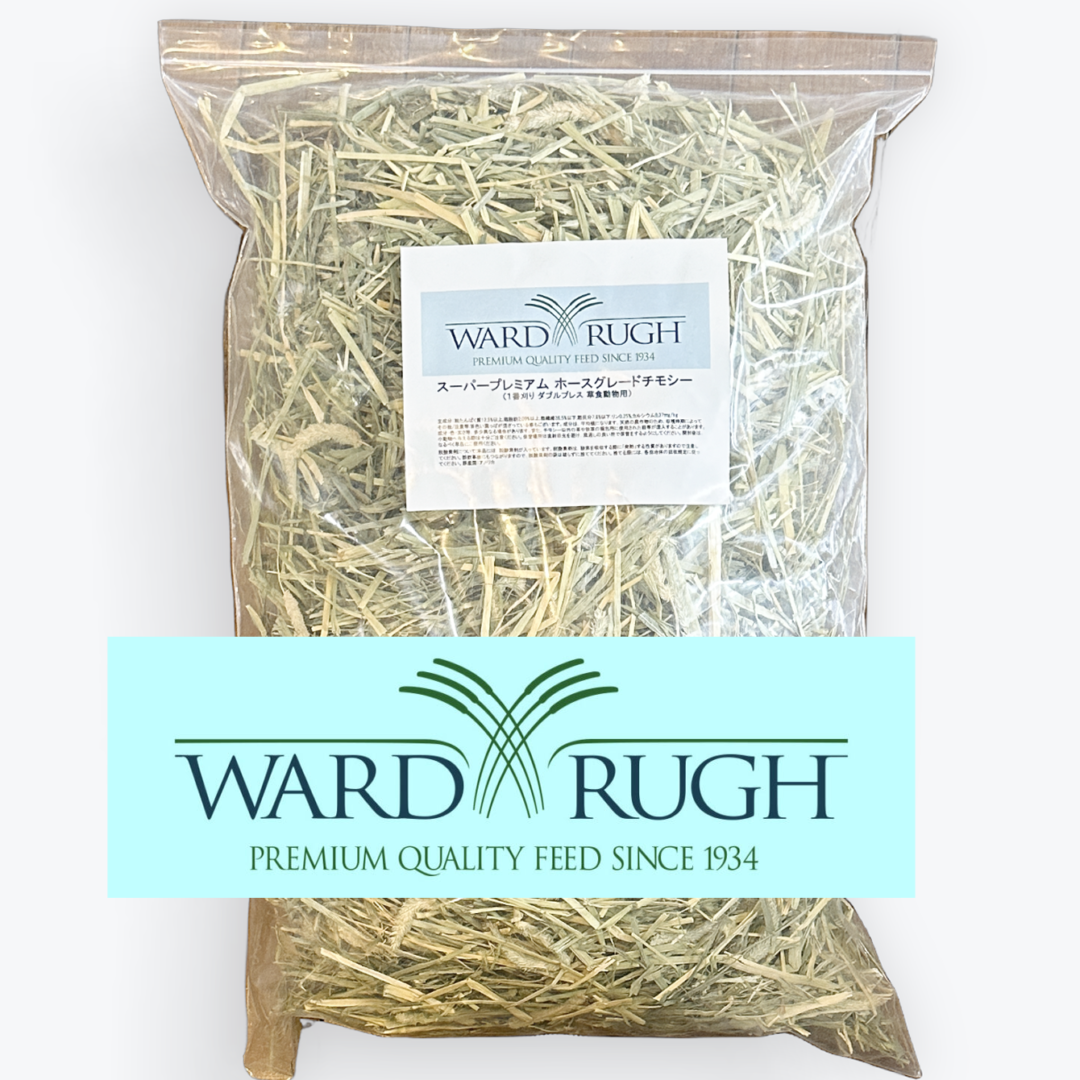 11/25マデ) カナダ産 チモシー 50kg スーパープレミアム 1番刈 【公式