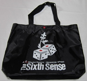 ピュアサウンド / sp_アーティスト_取扱商品