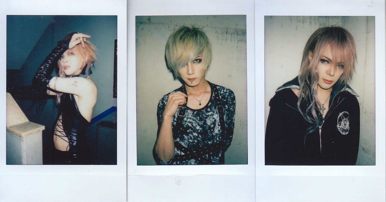 JILUKA Boogie Sena Ricko チェキ サイン有り 24枚 JILUKA 8/24 Sena