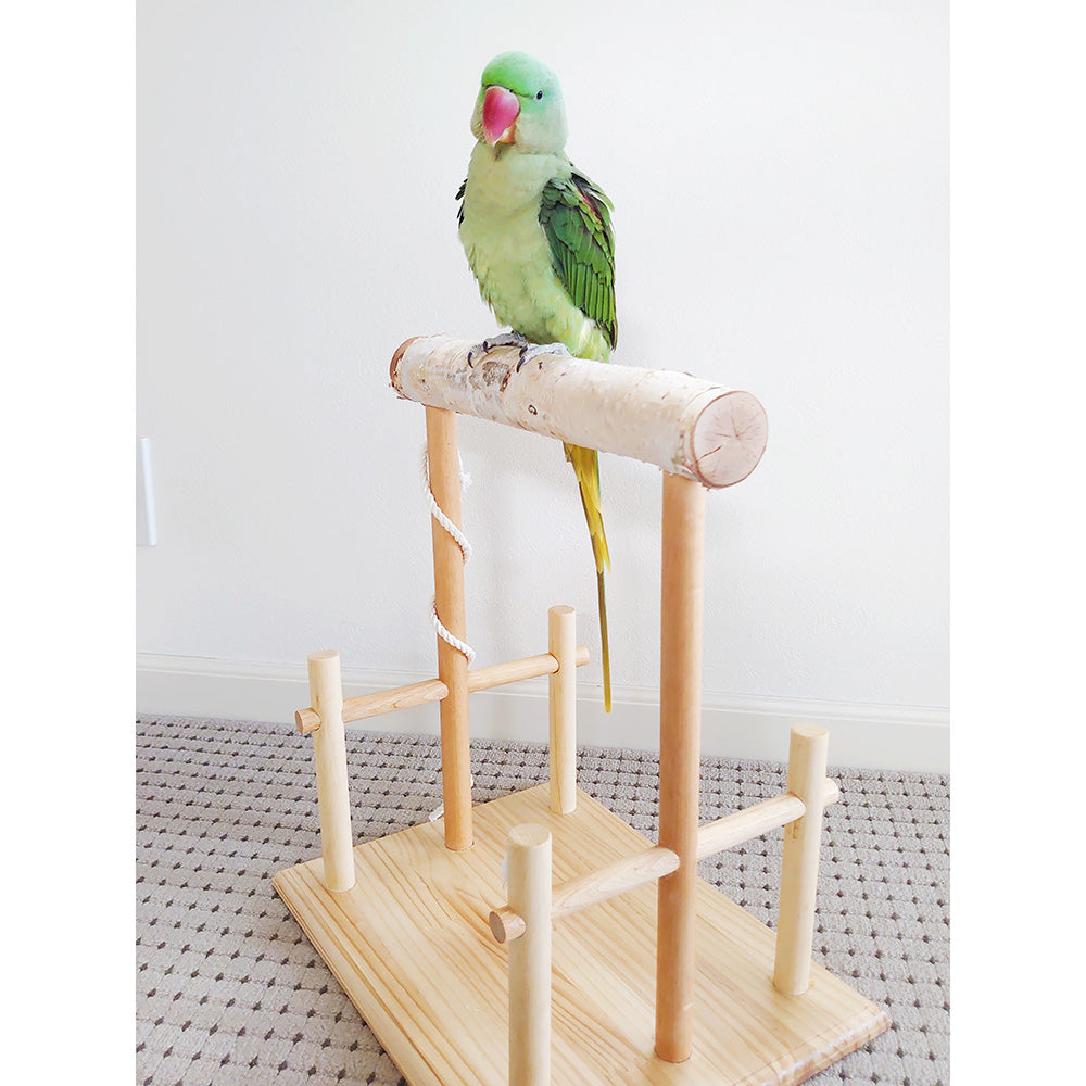 安心安全な大型バードアスレチックです！