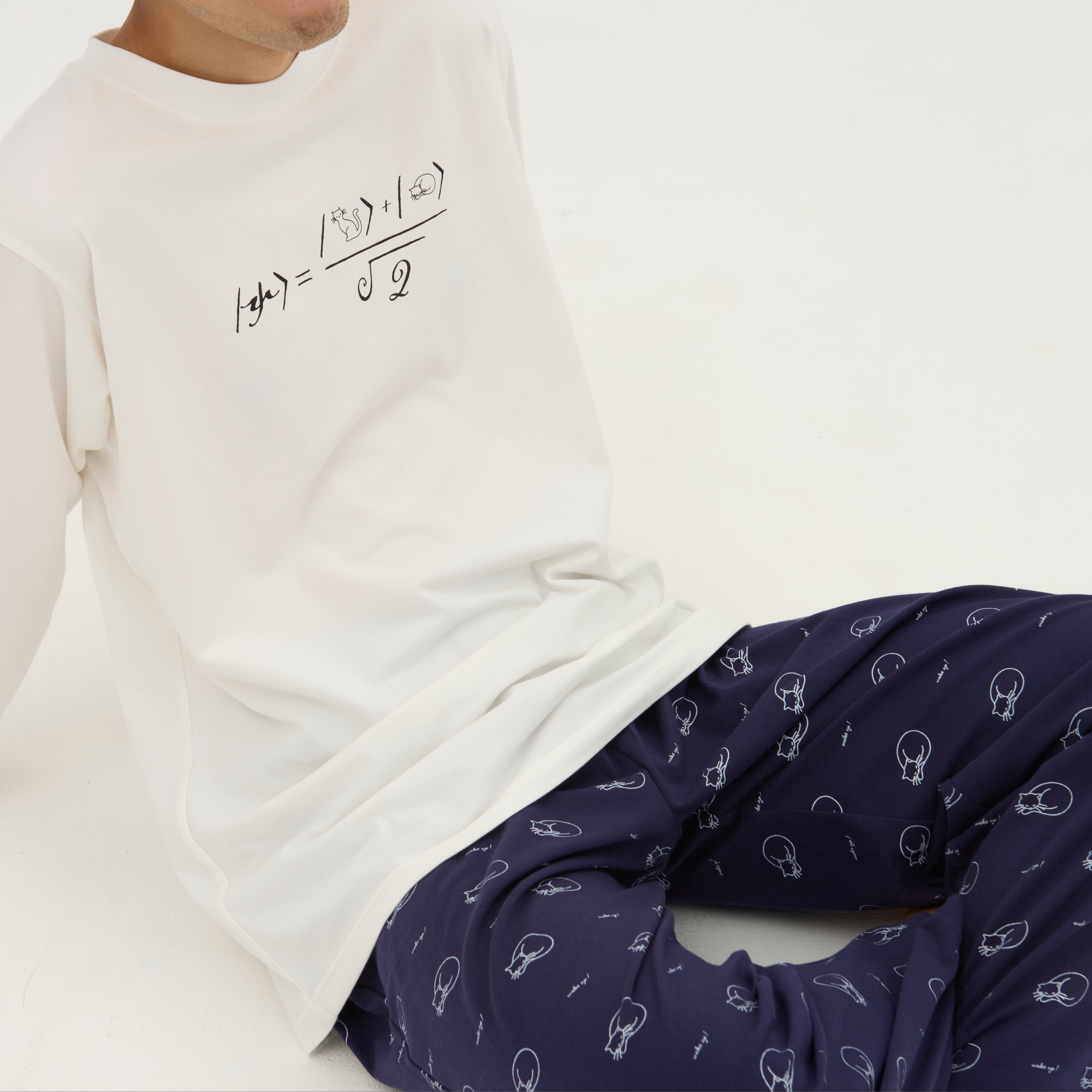 シュレディンガーの猫