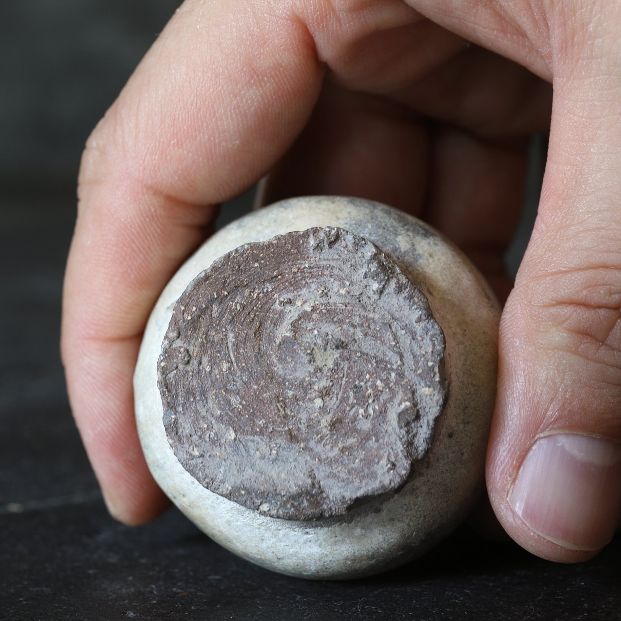 青磁鎬文小壺 タイ スンコロク 骨董 ∅ 5cm R1400ダM タイ・骨董・出土