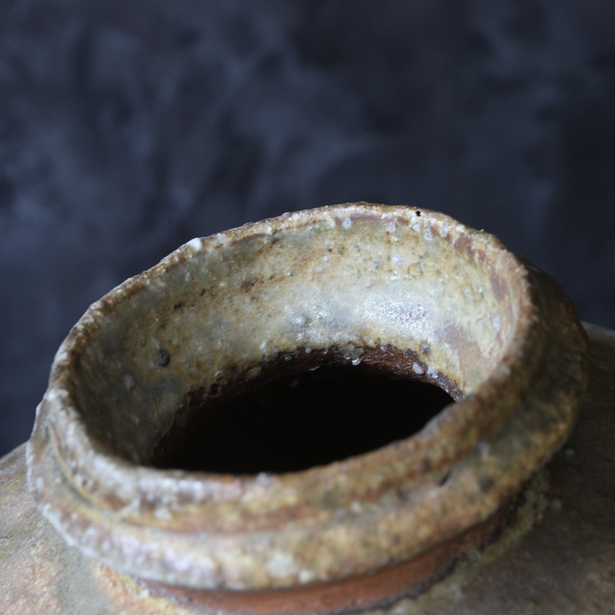 江戸時代 窯変信楽壺（1603–1867 CE） | 入蘆花（ロカニイル）