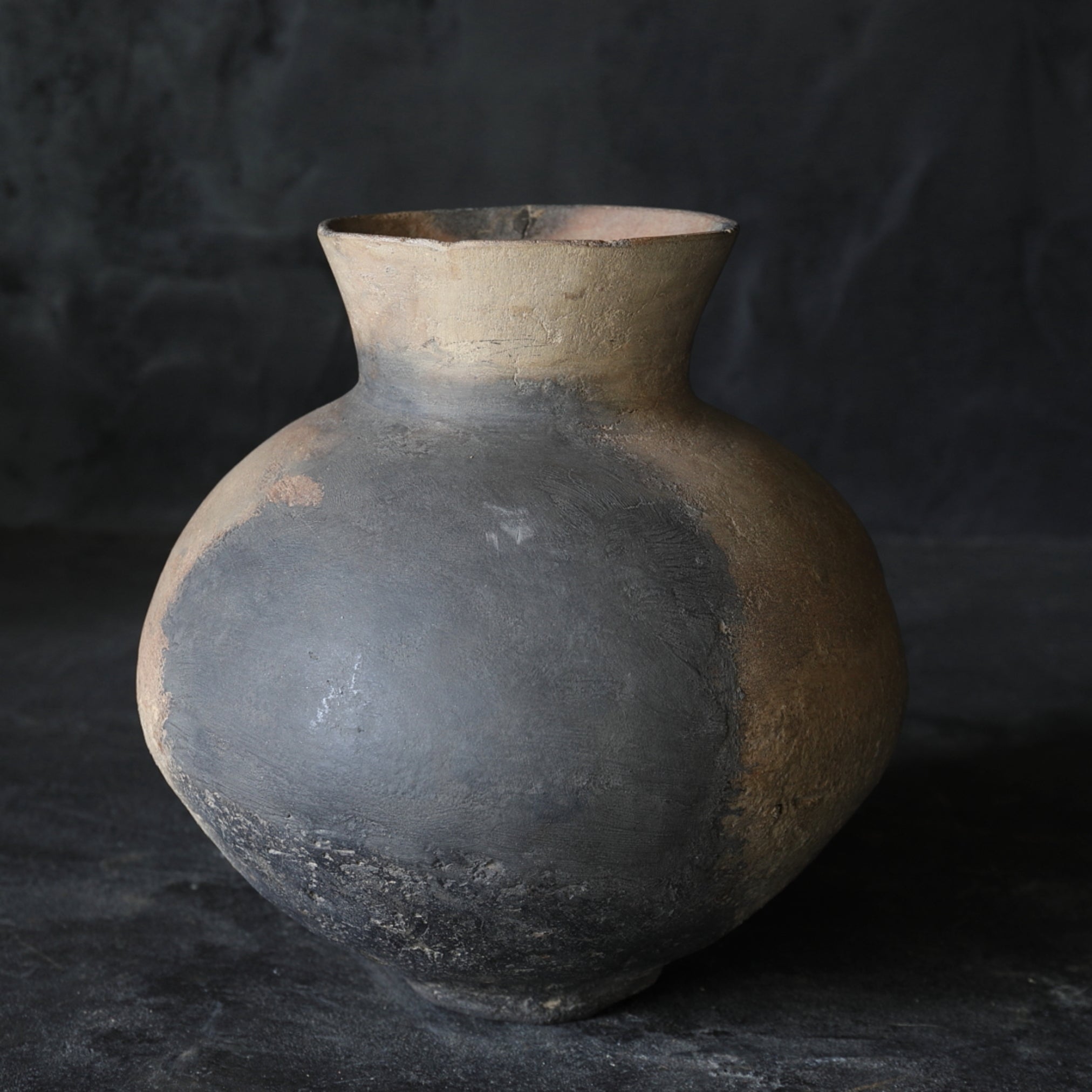 rcnir-2023-00004443.jpg?v=