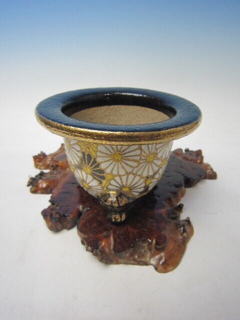 H-21 京楽焼 中古「富貴蘭鉢（布施覚氏作）菊模様」 3.5号 美術鉢