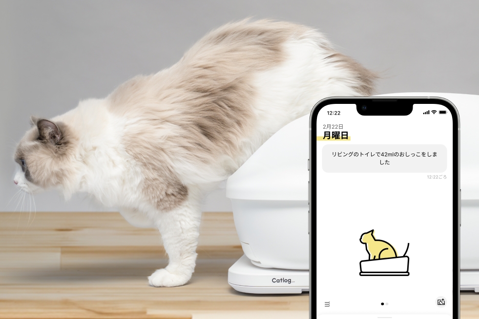 Catlog Boardの購入 | Catlog