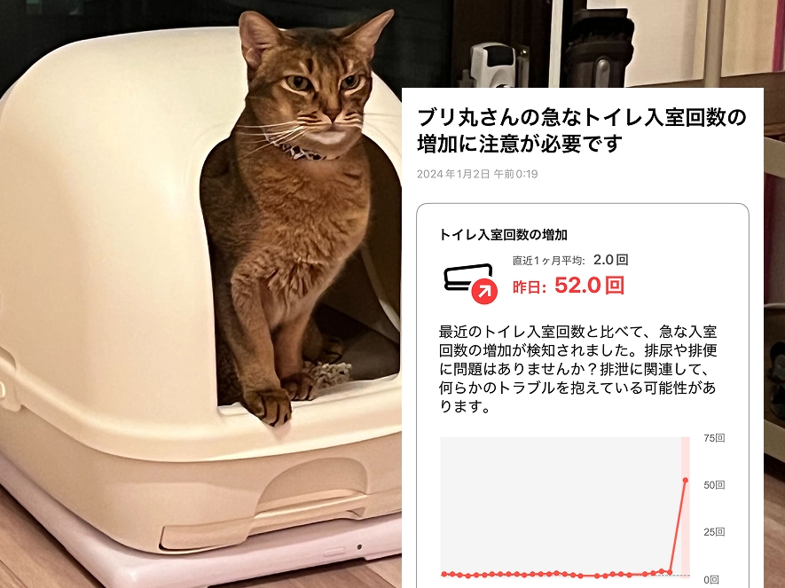 Catlog Boardの購入 | Catlog