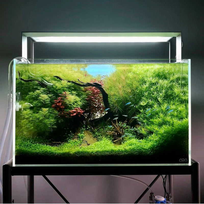 ADA NATURE AQUARIUM LEDライト 60cm ADA NATURE AQUARIUM LEDライト