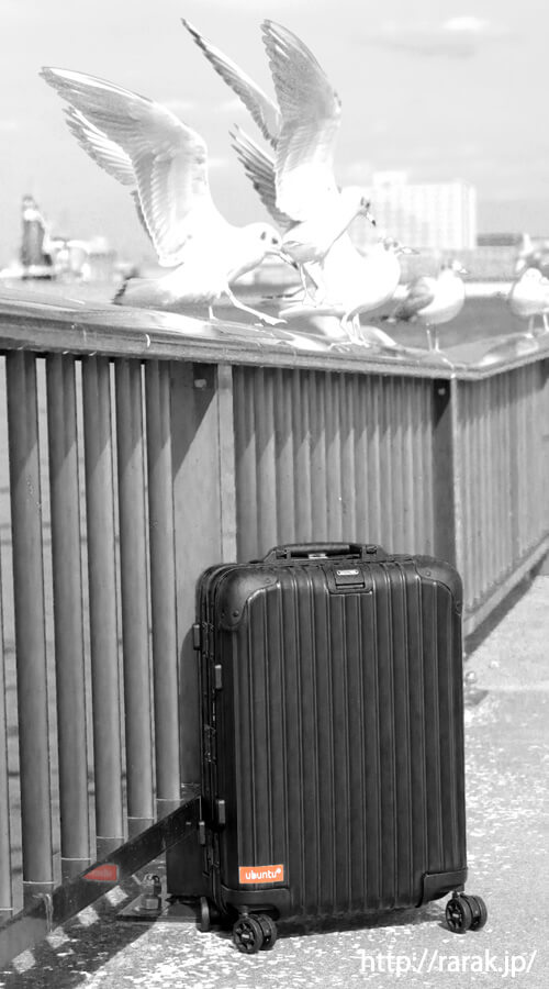 リモワ（RIMOWA）の スーツケース トパーズ ステルス 32Lのレビュー