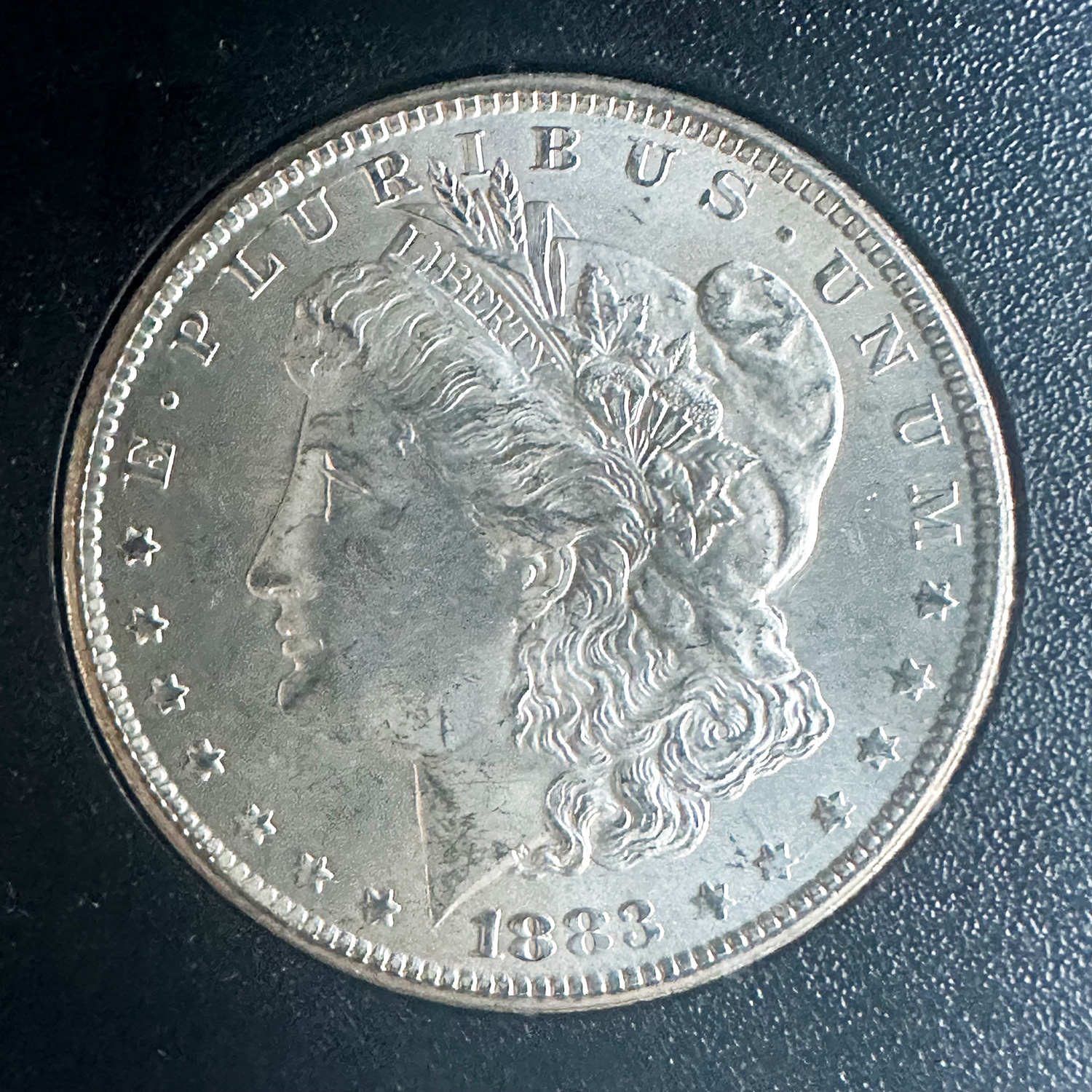 1890年CC アメリカ合衆国カーソンシティ造幣局モーガンドル銀貨 楽天