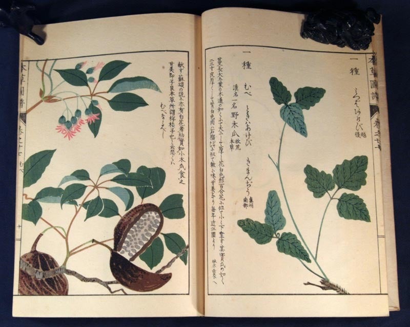 真作】高橋草坪/疏園遊蜂図/野菜図/白菜図/掛軸/名家伝来/AD-38 真作