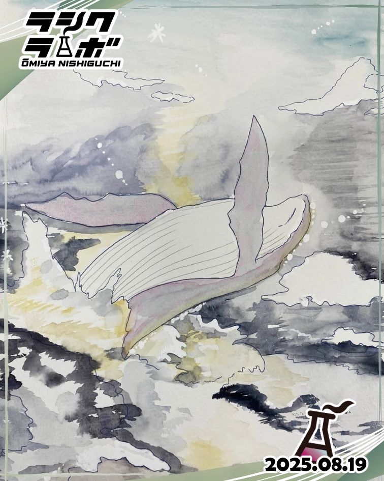 🌊空飛ぶクジラ🐳🌧