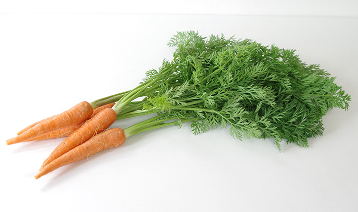 にんじんの葉のおいしさ、知っていますか？