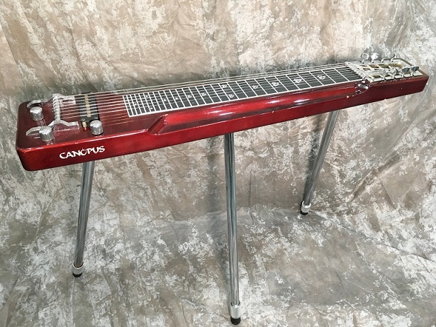 スチールギター レビュー Canopus | RGS Guitar School