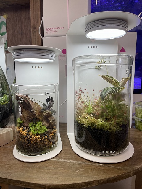 ADA DOOA ガラスポットKAKU ライトスタンド＋マグネットライト ADA LAB