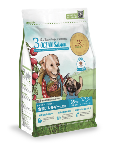 20241120_JP_dogfood_NO3_500g_l