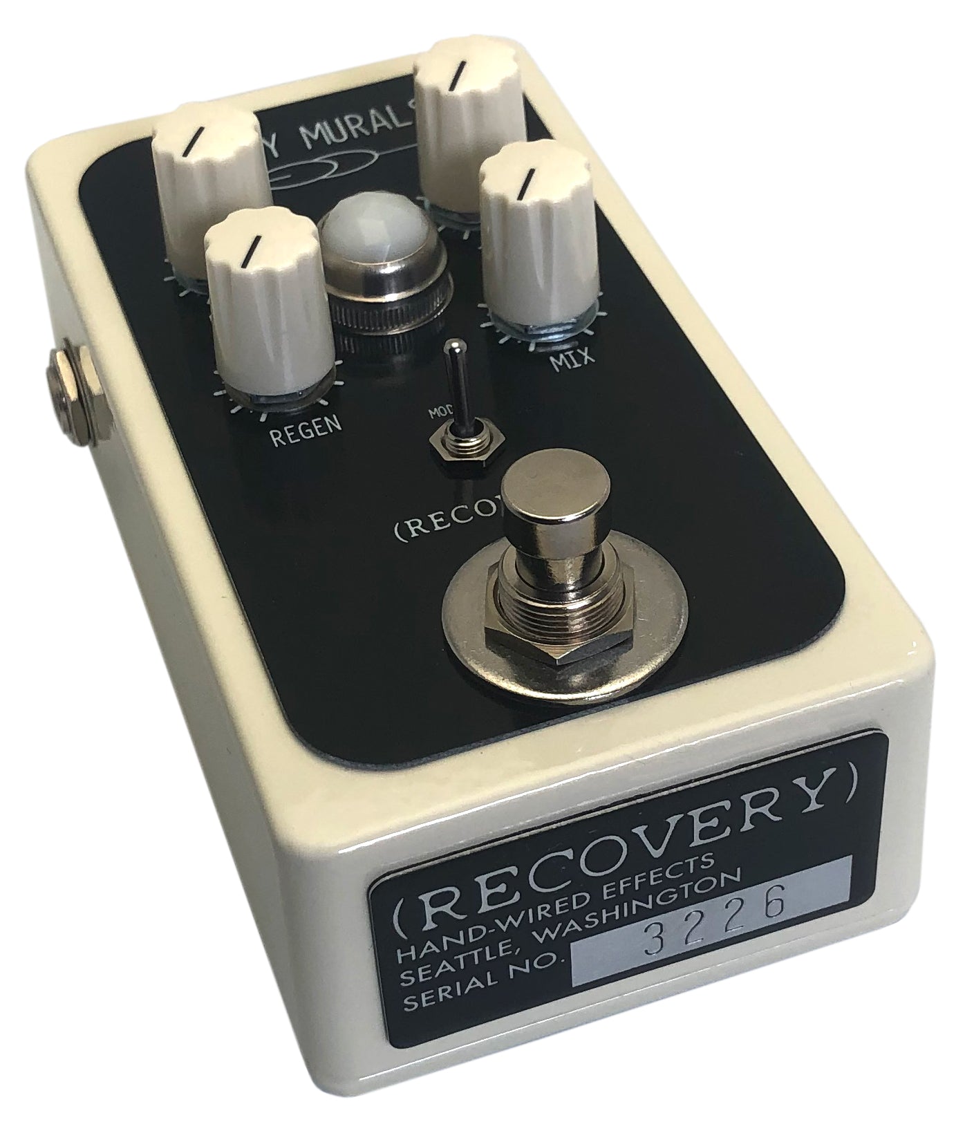 DIRTY MURALS PEDAL (Reverb and Delay) – Recovery Effects and Devices