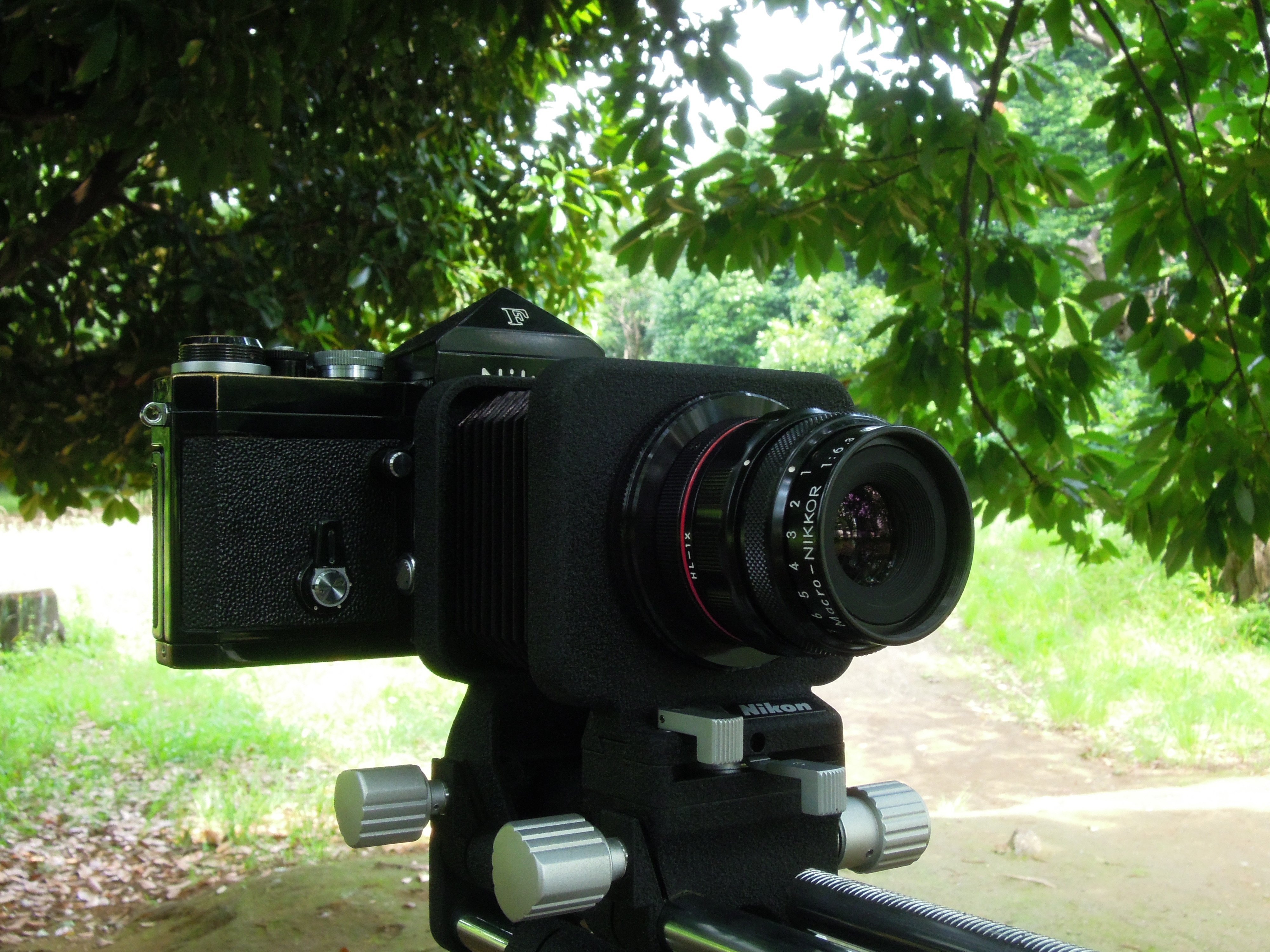 MACRO Nikkor 12cm F6.3 in Woods