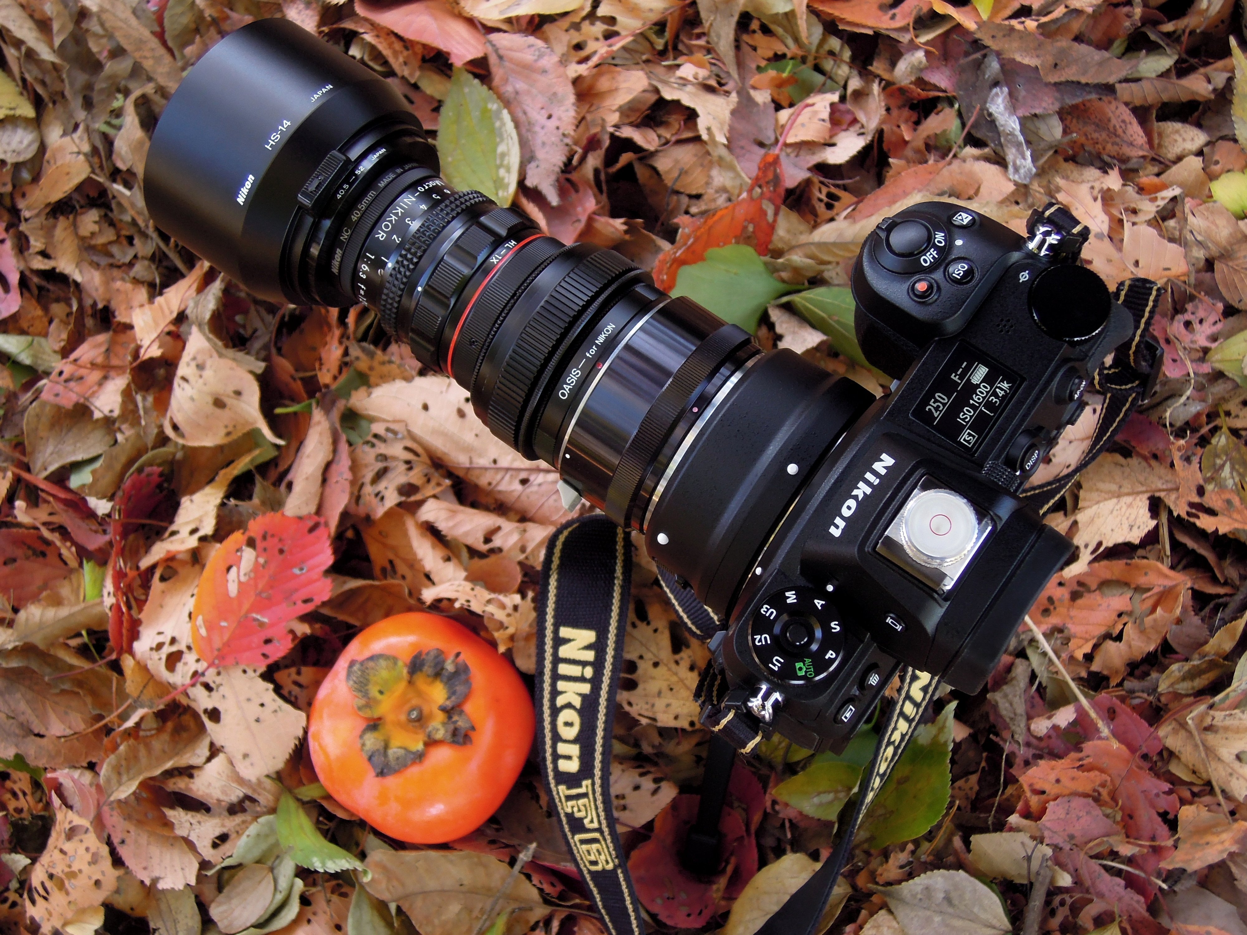 MACRO Nikkor 12cm F6.3 in Woods