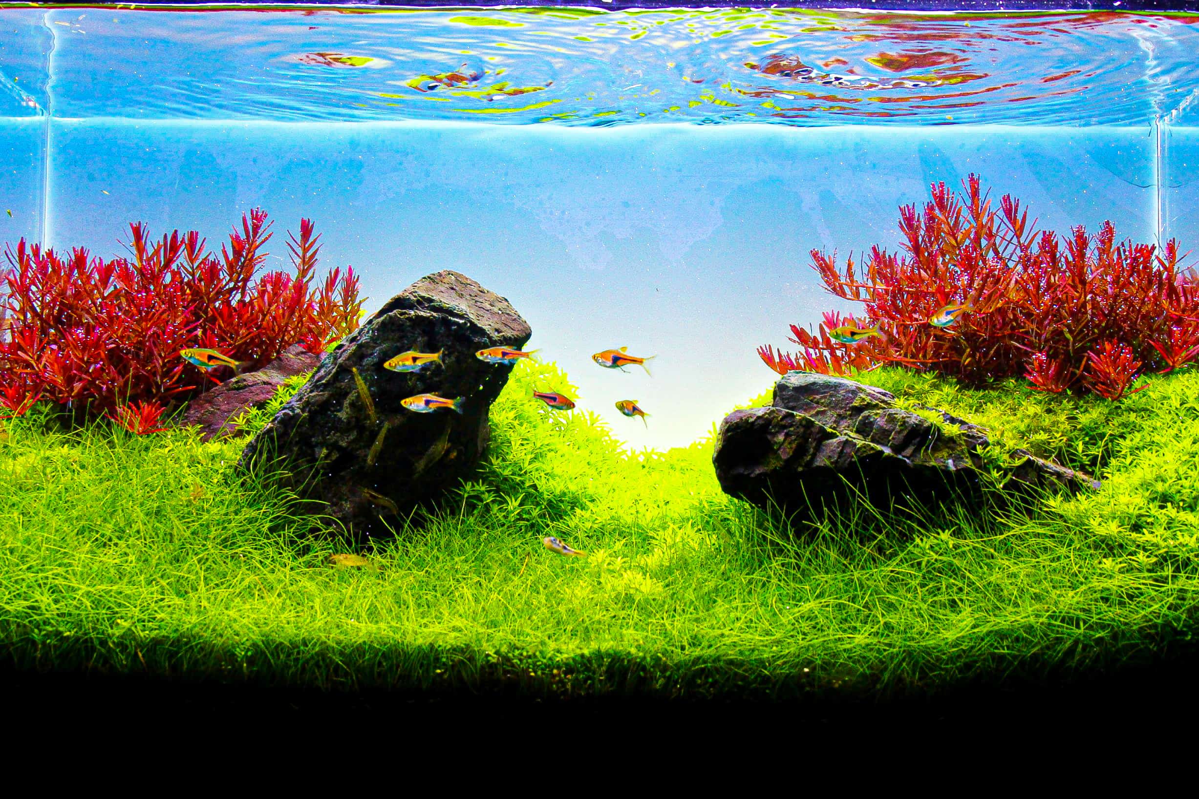 ADA LIGHT SCREEN W60×H36cm ADA Light Screen (Various Sizes) — East