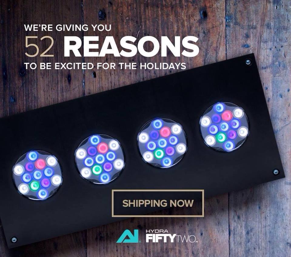 AI Hydra 52 to make its Asian debut in Reef Depot's open house