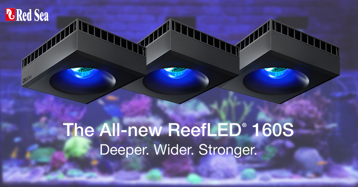 Red Sea Releases The New ReefLED 160S | Reef Builders | The Reef