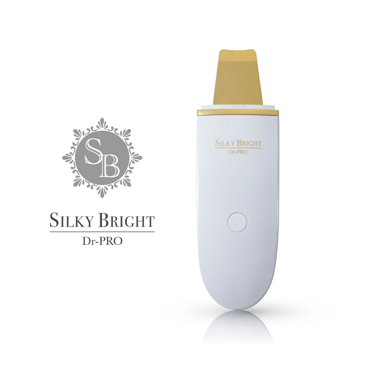 エレクトロソニック DFモバイル スキンケアデバイス通販|麗