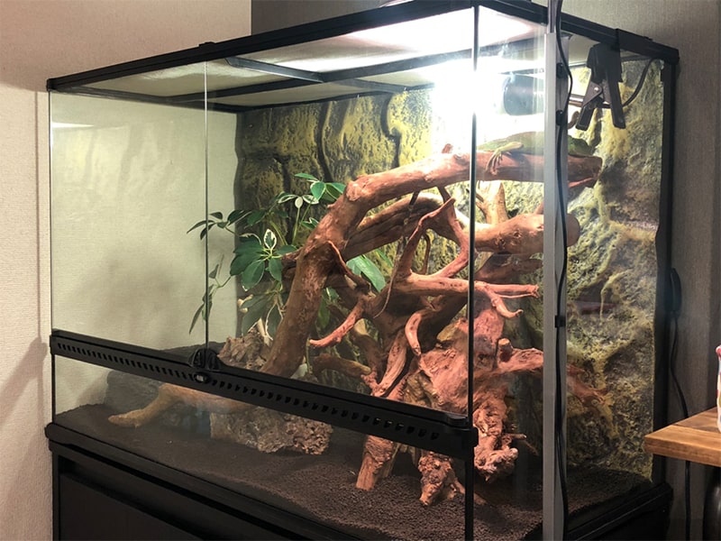引取限定】エキゾテラグラステラリウム 9045