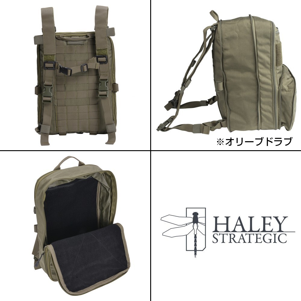 Haley Strategic ヘイリーストラテジック フラットパック crye 【公式